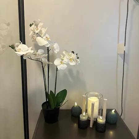 Guest house Eco Haven Central